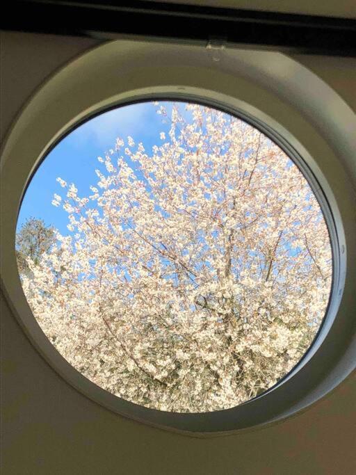 Villa Lyckehusen Loddekopinge Bagian luar foto