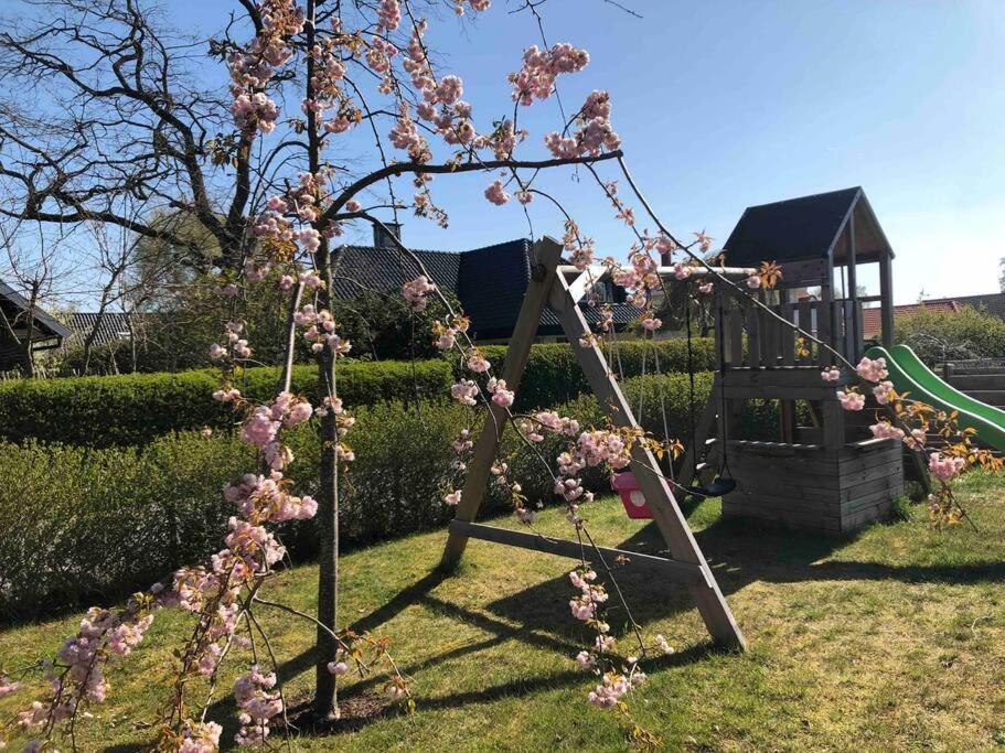 Villa Lyckehusen Loddekopinge Bagian luar foto